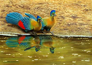 2018-09-03/5dd3ce9aff8c39b61f8e9da90cab148a_f7d783eed2a302c0f99afc7369b778cf