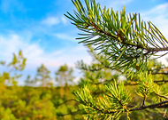 2018-09-03/695fe7c8cbdb0b1df6dfbfc27649e9d7_b17f1dc33be95906d3a21f49185a4307