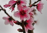 2018-09-03/6cc27971979f6cd47eecb47b3b41b2e0_940cf6088ab0b79af8bf8c1d59092ab6