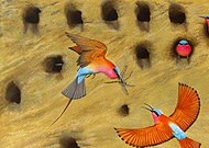 2018-09-03/be24987d1b2e6274153bdd3d2d9ff66b_28d764848e254a09df9aa834ec798dea