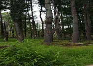 2018-09-04/80e559491ad1a7fae80f442e83a467db_e52cf60873f2b8de6e370e55078c1bc5