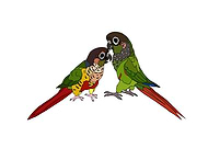 2018-09-05/df479bb7623a6fa3c65d81cf6e4e64ee_c125af31189c8f6a1fcf5f346c112a29