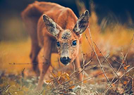 2018-09-06/10dad7b6a2116b2533a2428b326e6abf_5bec8bb77a77a6dc469280ab2dbc2406