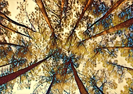 2018-09-08/7163cdac65462789d035447d2c5ec885_3f1e434c6d79f7a8ede7925b45a90b8a