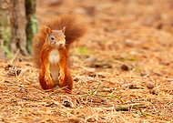 2018-09-08/86b59b9d5947ee45dbd3aebe00e21876_7b0b30e7d61bc00a6a1e237b1c44b94c