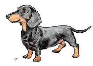 2018-09-10/62c070dac47880a5acc524395c18611f_1dafe28667435a5f4ac2c9d532768b47