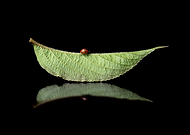 2018-09-11/0345277626befb4b91760557924ca8dc_b2bbfa710fe33e516eb7b396462e6d3b