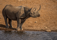 2018-09-11/54d5242f097a0c692edb498a6975b567_46f4bc633122597151b9f2937845396d