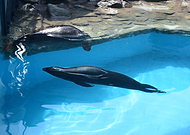 2018-09-11/956b82847b5ddde266fece00feefb90f_9e6d769cd7b1234966c066feefe3c9a2