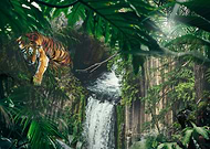 2018-09-12/5f07593ae1d3e050797f2016b97ebf4b_0cadc03afa4ceb5e84193ed4c84c5bd1