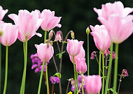 2018-09-12/6a2051bbca2e2afdfb3048a49285321e_a88b9a7986ae13d5fd478992dc19ae18