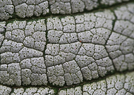 2018-09-13/04d53c529461fd9791f4af49fa395515_b633f92915ccfab3d7336601f2d48da0