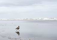 2018-09-13/0d4ba98ae2b7449bc63b827161064dfd_a131ae4d1231c3efb287a1573348ff23