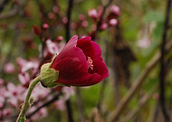 2018-09-14/498434c517bb90a6c871d9921aba3fa0_b964d9ad4abd69b3aff67210542650b0