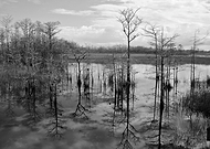 2018-09-14/be42c3ff94d17a9d45712d9cc68c55f0_e3865d4e4c3bc79580a6d8d9df056a19