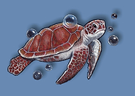 2018-09-15/61a4f7a33c5605d1670733431cadd22b_68d522e3578a2efa5b50cdfa3aae0b2e