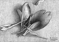 2018-09-15/dbd5b100ef0aa2338a370f73372a9693_83eea2a45add29ea56bbc09183fd3db7