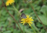 2018-09-16/7f4cb7c357f5f1f58dd22b3f5cdfe7b7_5ef996a0545b67ce5f21e9b39cf42e67