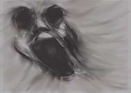 2018-09-17/174aabf93118025739b1bf0a56ae8f5c_ce609da03d17a06bf837fcdff1e9787b