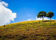 2018-09-18/5597704b802689d010fe5ace3d7972d0_fd066c57b663af5b4e4a3ed495e7b4a4