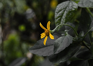 2018-09-18/68acac316b79470bd8a4dbb9110691b1_3cdbe4b39034d954e6d4b48b49b8397c