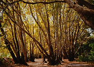 2018-09-18/737e1a4a59739ef989bc714b543c5f04_2e84c24596832edf3688fcb3e216b1c7