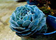 2018-09-20/6e7c0253e01143ec1477a047137a0d3e_ffcc63cd7b643af2dd6b162bb5ab3aca