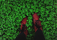 2018-09-20/a3d06ac843c8fc4178bed4ae1db91498_c737232900d933ea4e02d5b15173a64c