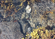 2018-09-20/c39c7c0a80f389b85001a735d3b840fc_aaa5c93b7ae2cbd06896f4a6c5ce6e00