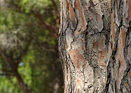 2018-09-21/00b25363f2137fa747581c3a75976ea7_f5636ea560fd09111df2c11309ce3406