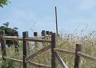 2018-09-21/12f29d68a64cbc0fed2e8f2f8e420be0_1d41635f16943a0b4cc179bce917bad0