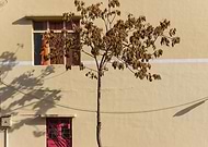 2018-09-21/83f2b6f4353a3d6f169d89e4ace487d4_9fa262318fc7abf17e5243e8cb848e51