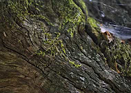 2018-09-21/97a9955cc3d14c7a2aa25c5a0d19cba5_edc8bebe460ed2c6c60896365d55027a