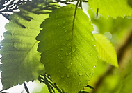 2018-09-22/8f22e10b010fe7ab6afe46476109ece4_6b391b18e6d84386903a13ac5043ca84