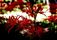 2018-09-22/f0a26f0d4d26084021bc2dcfcacc1723_377b1dedf844cd46594b0018174c2fcd