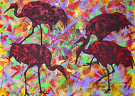 2018-09-24/54e7d53fd44d0559315c6f4da5c56137_6fc07566b8cb53d782b02cac8d61211b