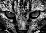 2018-09-25/5e56778c042fde812611829bbdd4f73b_c62674734b7bb71a51cbc835b626b0b6