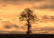 2018-09-25/a238fe8dd3ec219a74ab6a59b24c3ce8_28514a8f2c271138f6128ef7a57c11db