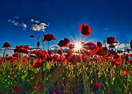 2018-09-26/24fdde3a012e360e882f1095e5c4c191_c21bd4ca115ab0cd8459feda921da039