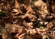 2018-09-26/71fe0f6619d05d30f334ecf7e558bf5d_17efa6524d2e7cab4eee7722ff8e59af