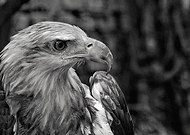 2018-09-26/877b30ffb1a88b0a239f0fc23be9638d_f91563890b84dae304ac73b3c51f29a3