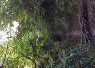 2018-09-27/7e6d957b7977834196a66beec877ca46_73bcfaa1a84d764c5cb0cb316356459a