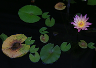 2018-09-27/b8ec6eaf8feca70981f58e24e71fcc51_f7f280aeb99b8a7e03f79f4b9f13dde7