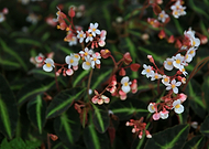 2018-09-27/e8b6a9e6621d80fefa7066fa86db9229_958f5644c2531a6f08a97ce1971e1c10