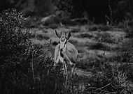 2018-09-27/efe593e8fd0192a21f860bd363b97b45_57f0603a8a38a8967ed0370c27dcb0eb