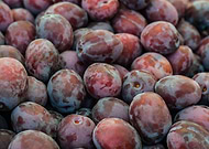 2018-09-27/eff8dc1da8b5360f3e9e9d8ffec82e77_c20cba40a5e66e7362a7309804b48af6