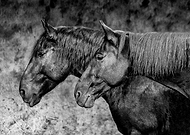 2018-09-28/13ed803ba20be5006190fa17c44a4099_47d291f2707d284b8c56bb4ef6e2820a