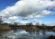 2018-09-28/82fec0ff61898080051848ecea3747a2_0c5206ed933123c4c897c1140ef65e83