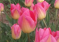 2018-09-28/8baaebadb6ffa830dc54e9305a599065_50ad684da452c8841198a31318fa225b