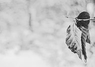 2018-10-01/4482b2b468d8f2cd17857447e22a299b_19bc2665af5a41f39f2038c8f1546462